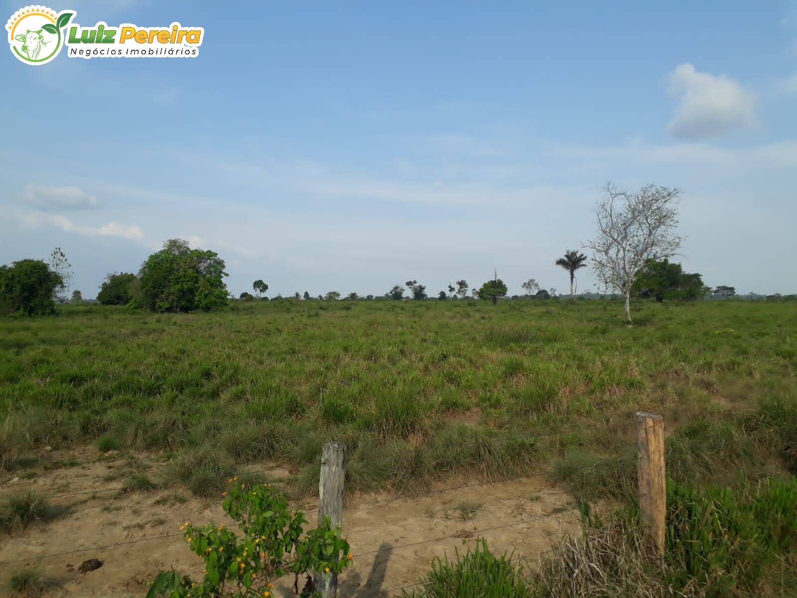 Fazenda-Sítio-Chácara, 610 hectares - Foto 3
