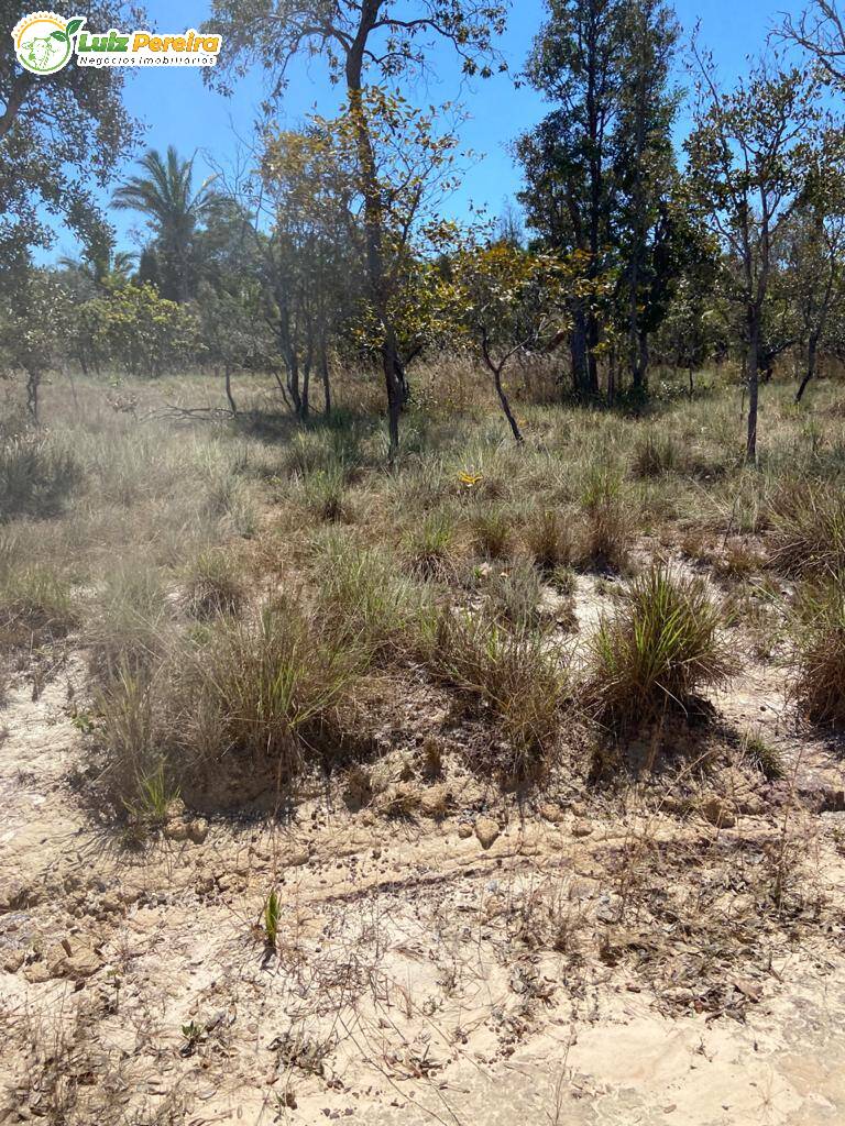 Terreno à venda, 4020m² - Foto 2
