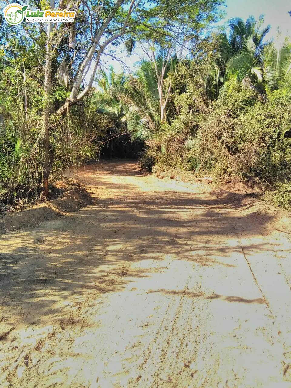 Terreno à venda, 4020m² - Foto 4