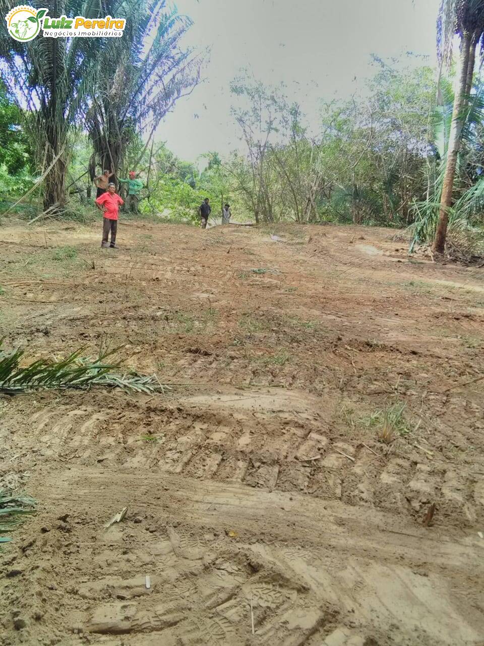 Terreno à venda, 4020m² - Foto 5
