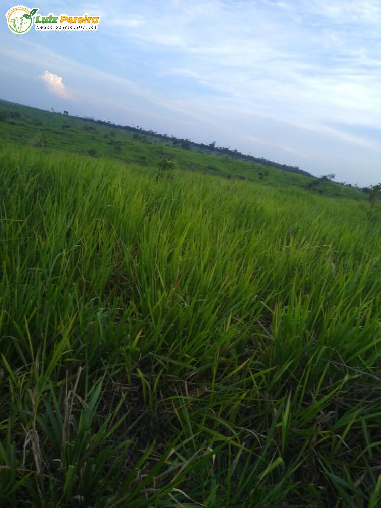 Terreno à venda, 36300000m² - Foto 7