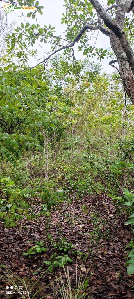 Terreno à venda, 27442800m² - Foto 7