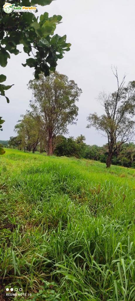 Terreno à venda, 27442800m² - Foto 16