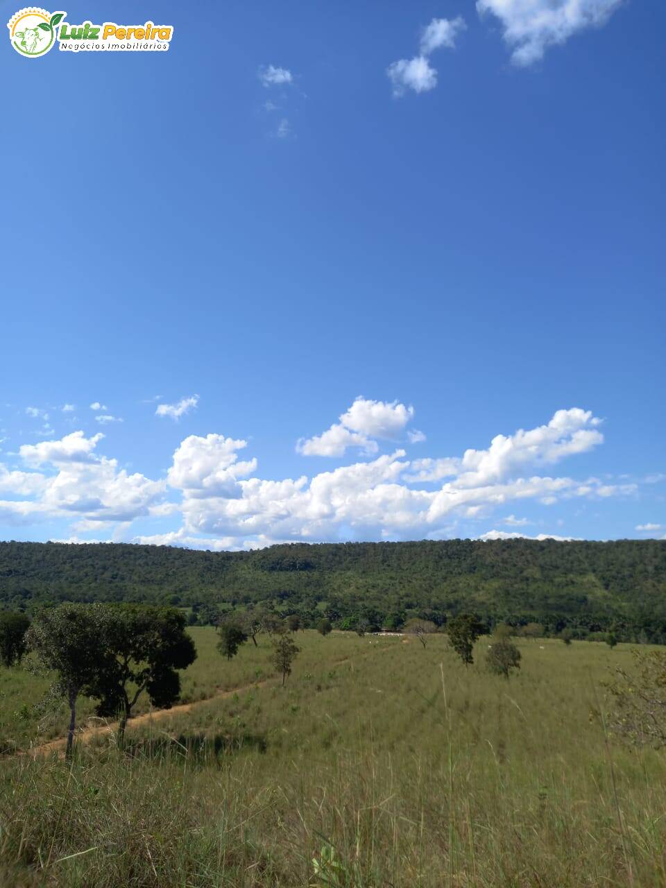 Fazenda-Sítio-Chácara, 227 hectares - Foto 2