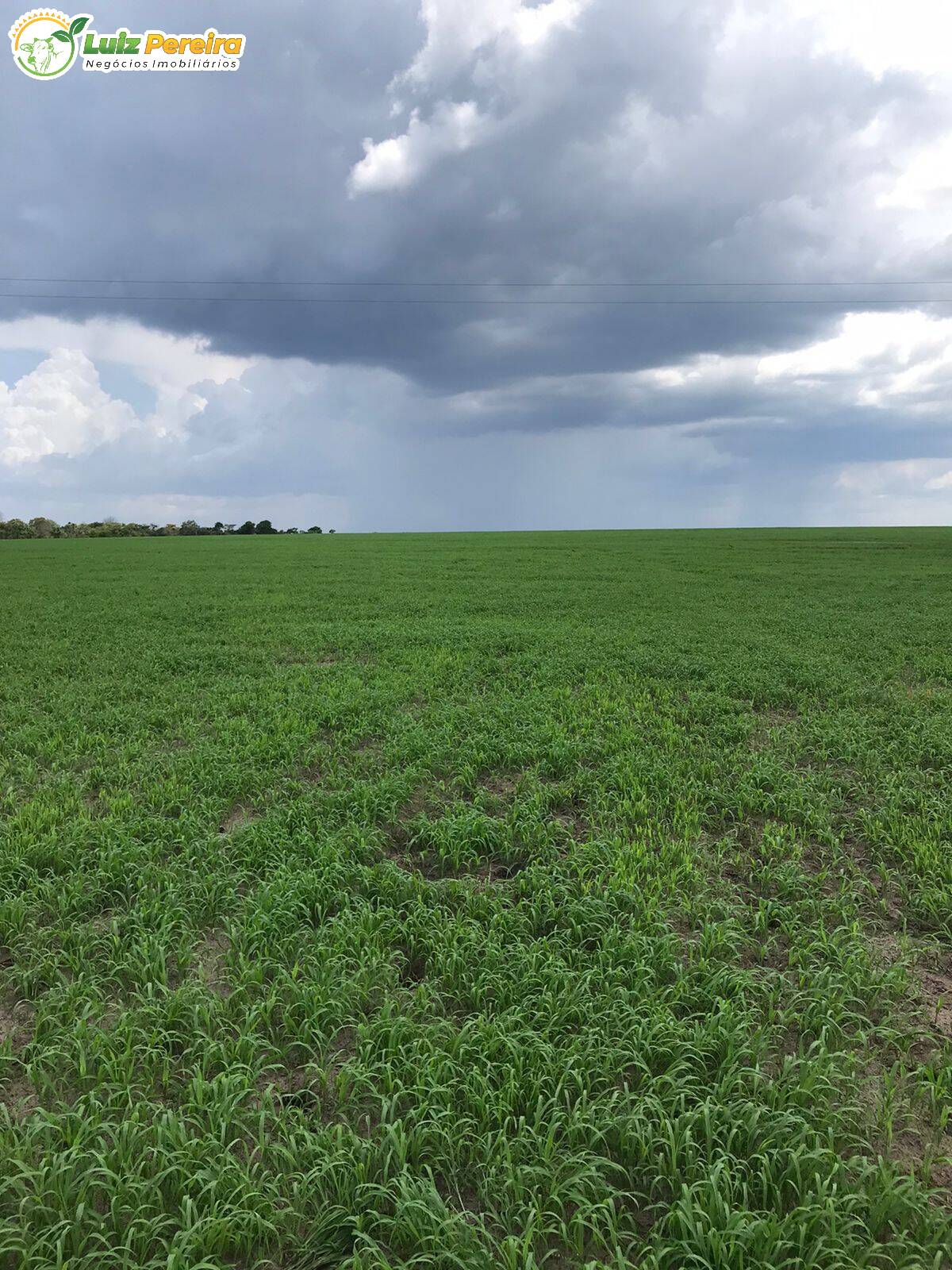 Terreno à venda, 27000000m² - Foto 2