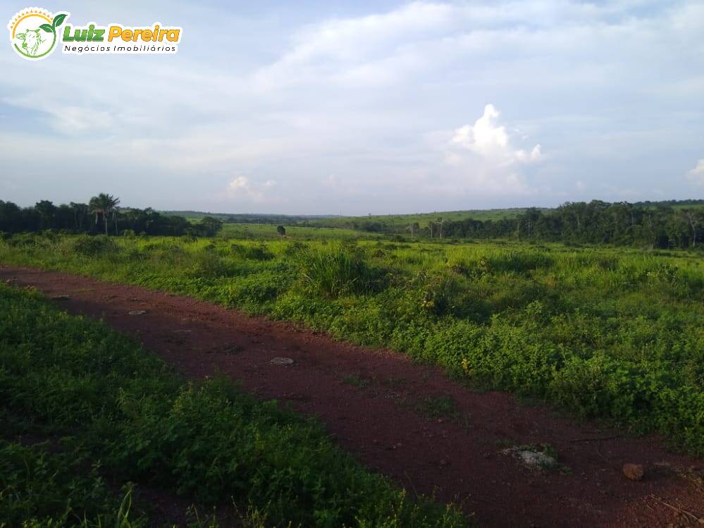 Terreno à venda, 36300000m² - Foto 4