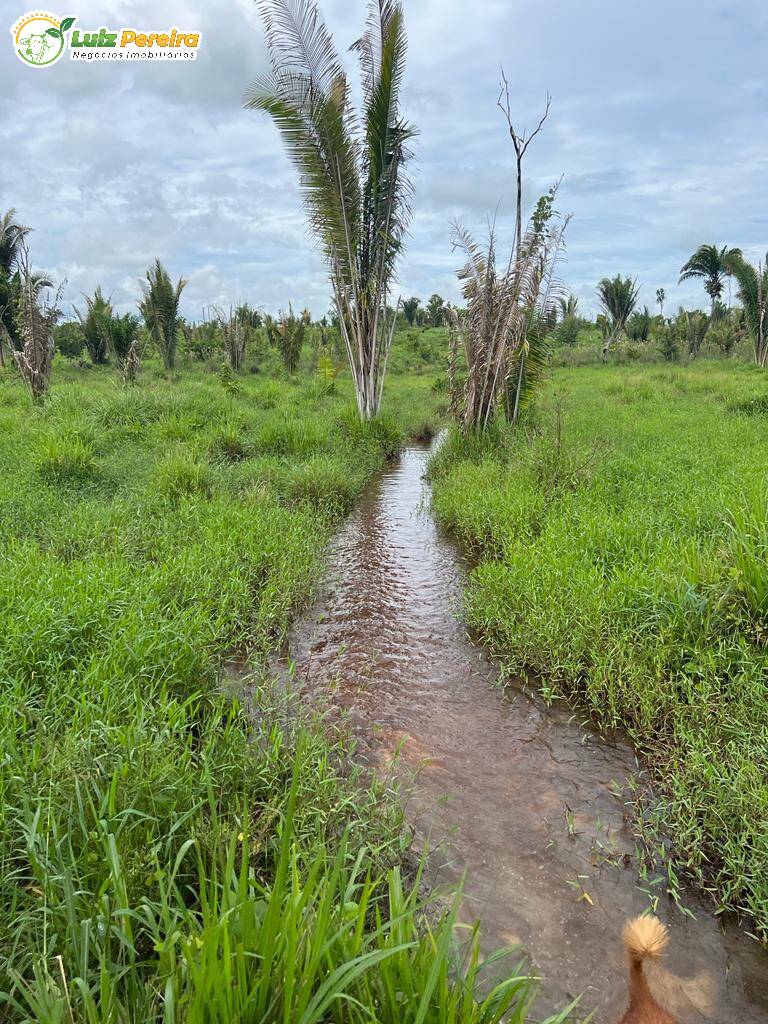 Terreno à venda, 7260000m² - Foto 9