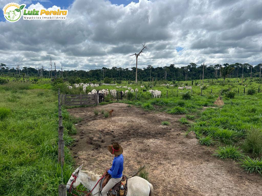 Terreno à venda, 7260000m² - Foto 10