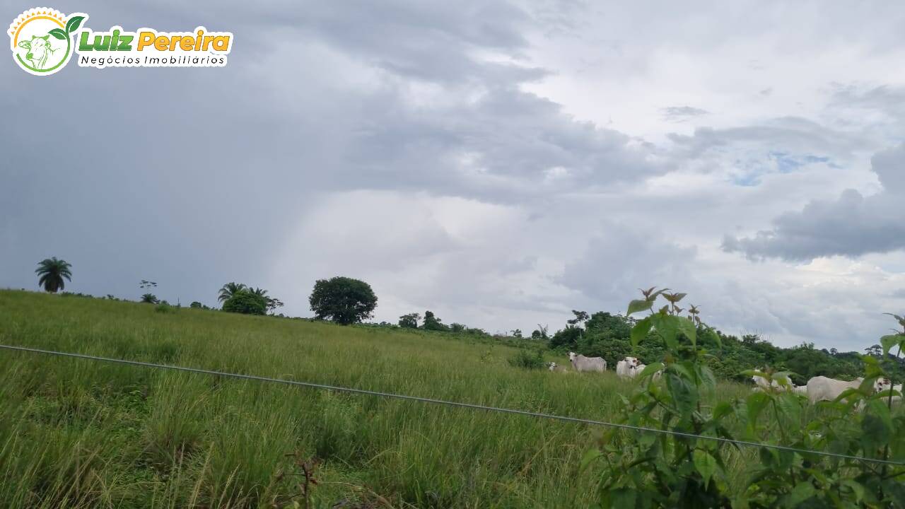 Fazenda-Sítio-Chácara, 1084 hectares - Foto 4