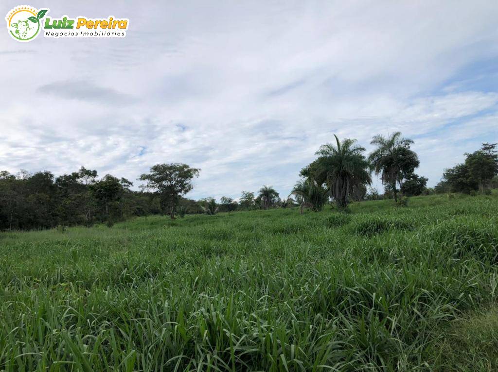Terreno à venda, 2180000m² - Foto 2