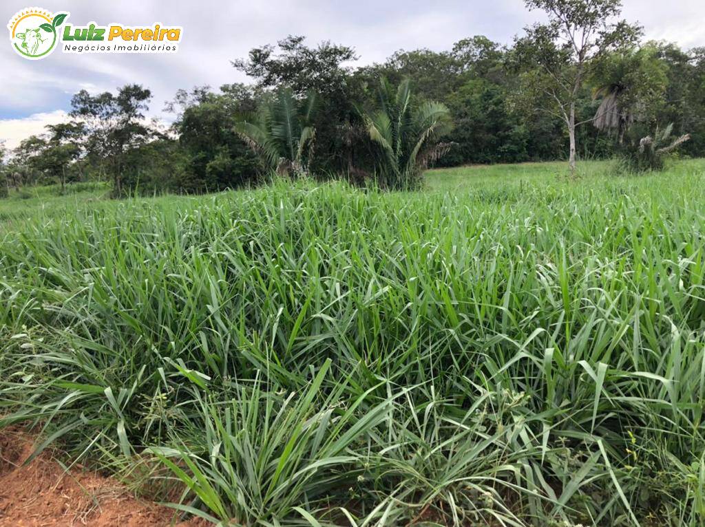 Terreno à venda, 2180000m² - Foto 6