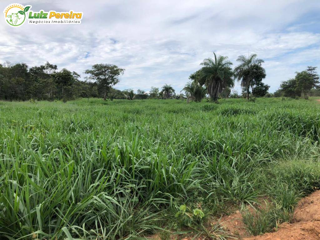 Terreno à venda, 2180000m² - Foto 5