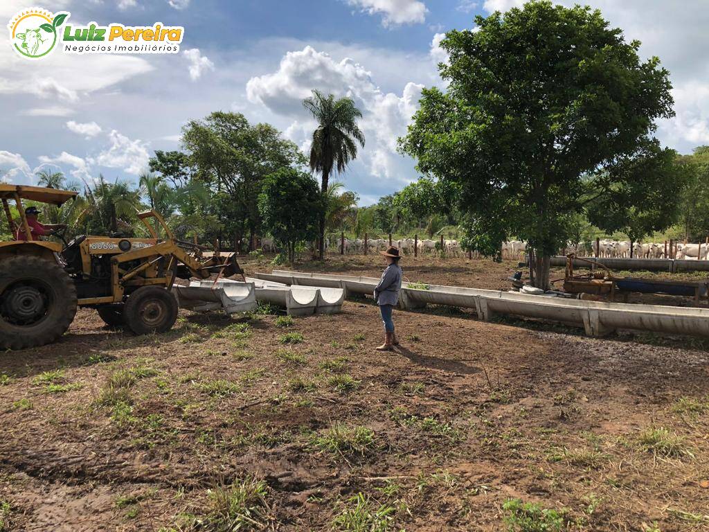 Terreno à venda, 2180000m² - Foto 4