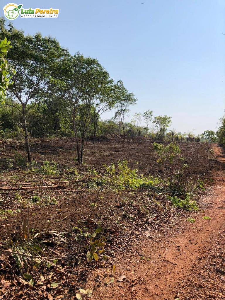 Terreno à venda, 2180000m² - Foto 3