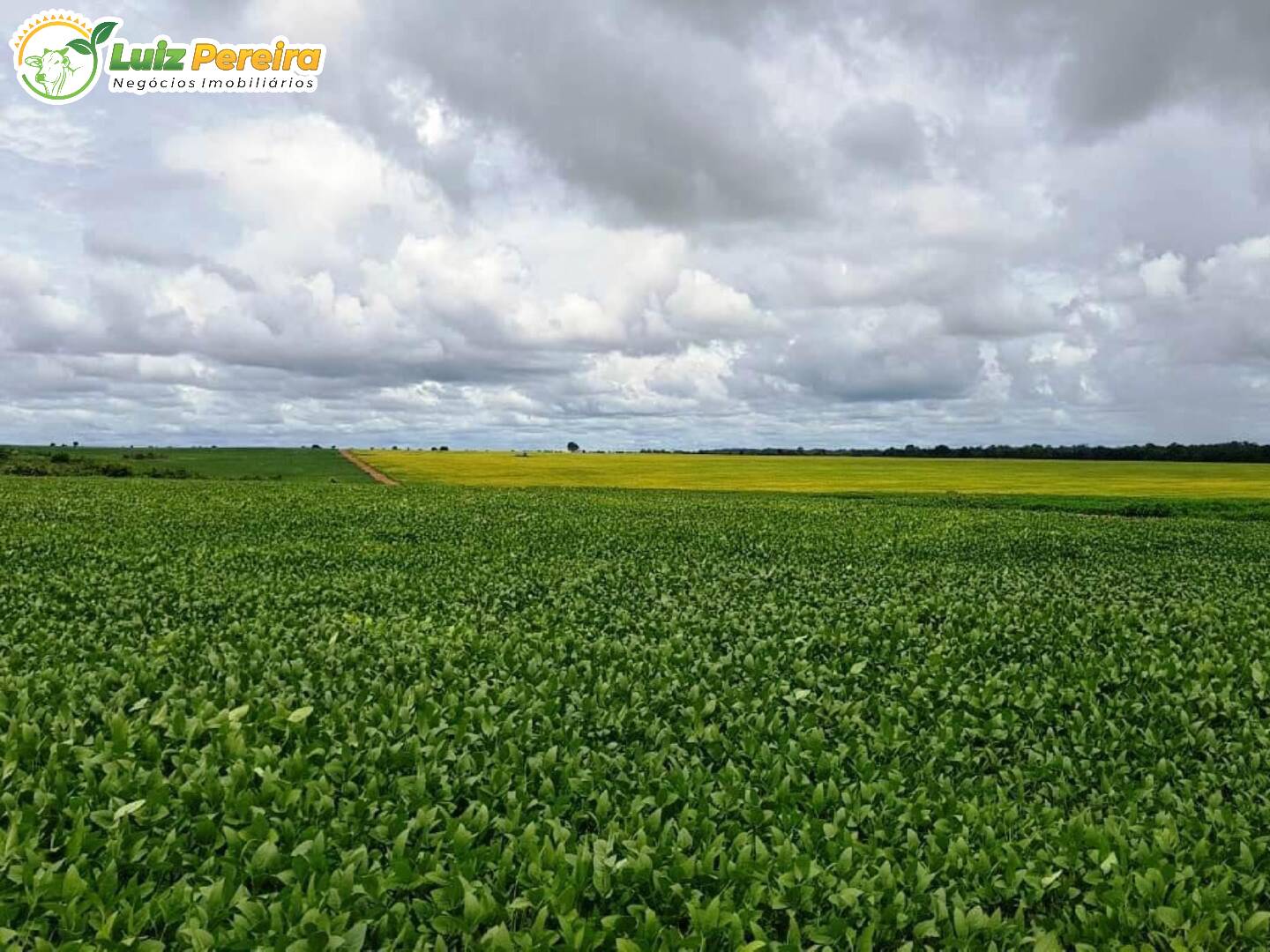 Terreno à venda, 329296000m² - Foto 19