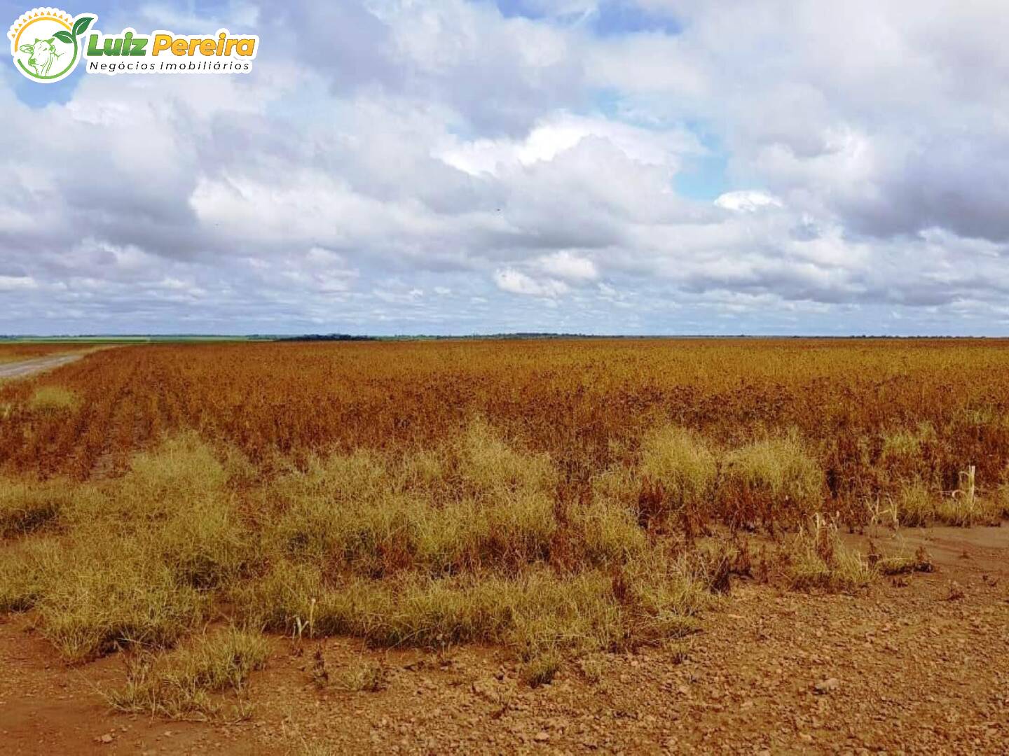 Terreno à venda, 329296000m² - Foto 45