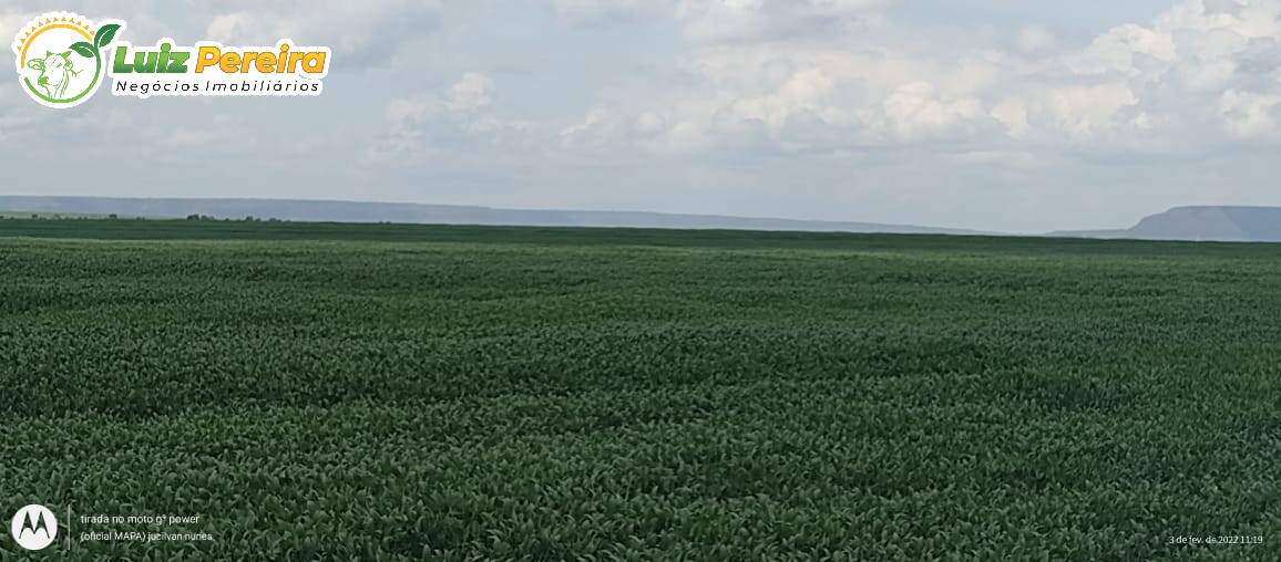 Terreno à venda, 61000000m² - Foto 6