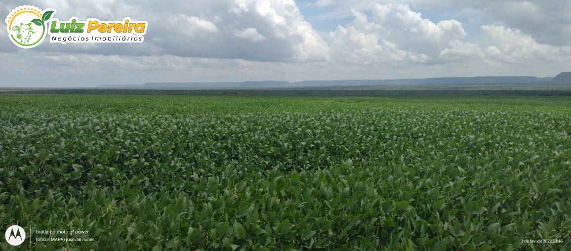 Terreno à venda, 61000000m² - Foto 2