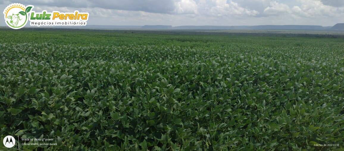 Terreno à venda, 61000000m² - Foto 3