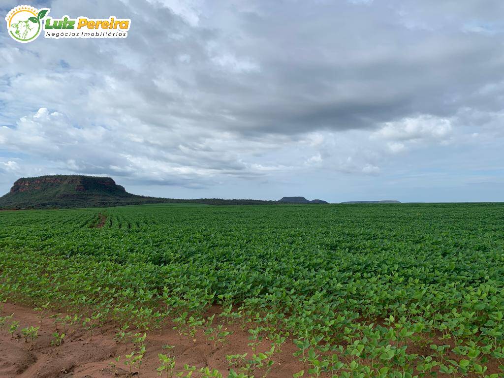 Terreno à venda, 61000000m² - Foto 7