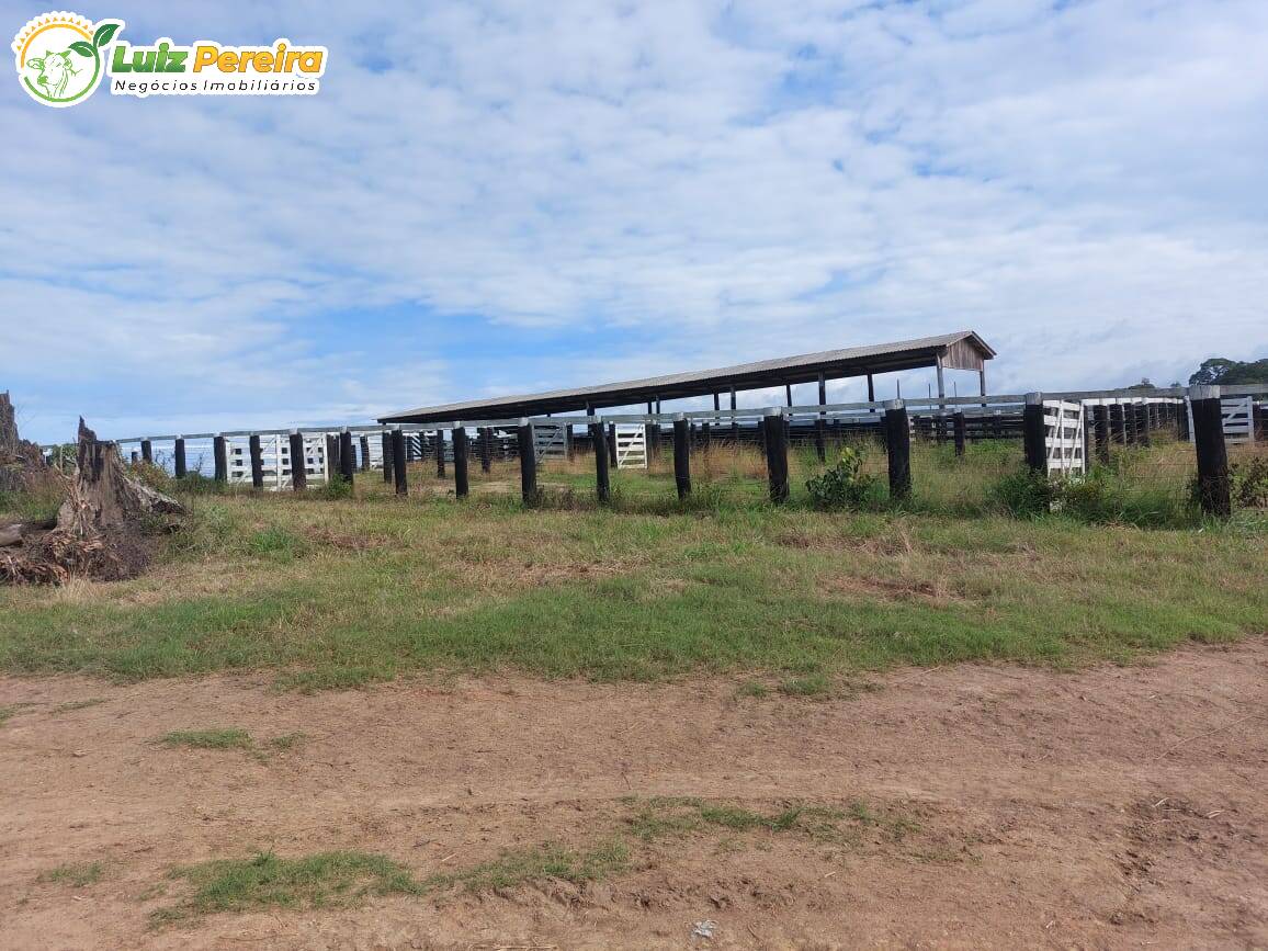 Terreno à venda, 29960000m² - Foto 7