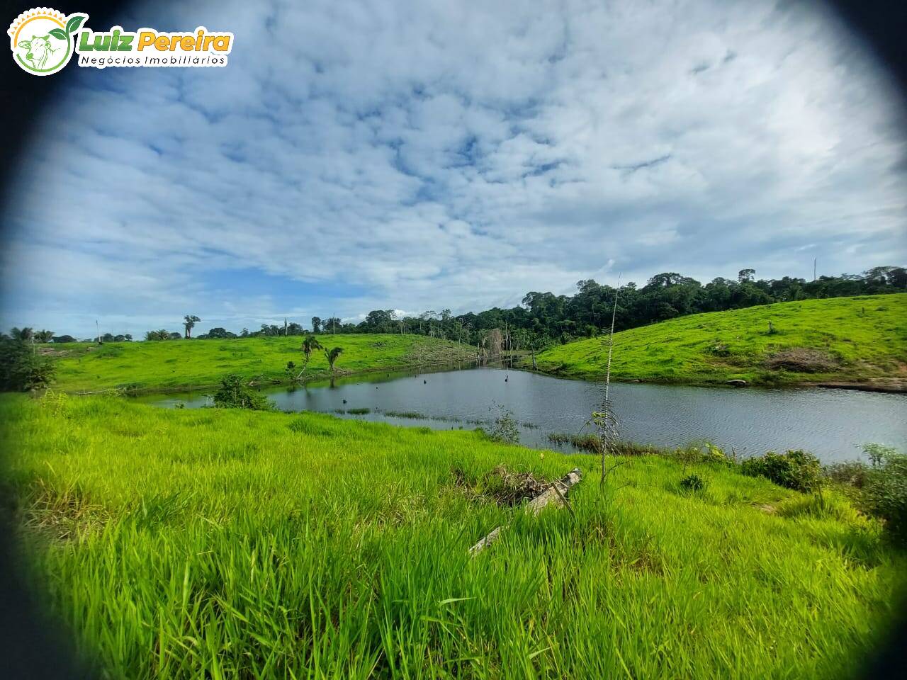 Terreno à venda, 29960000m² - Foto 6