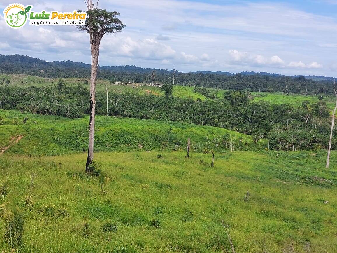 Terreno à venda, 29960000m² - Foto 5