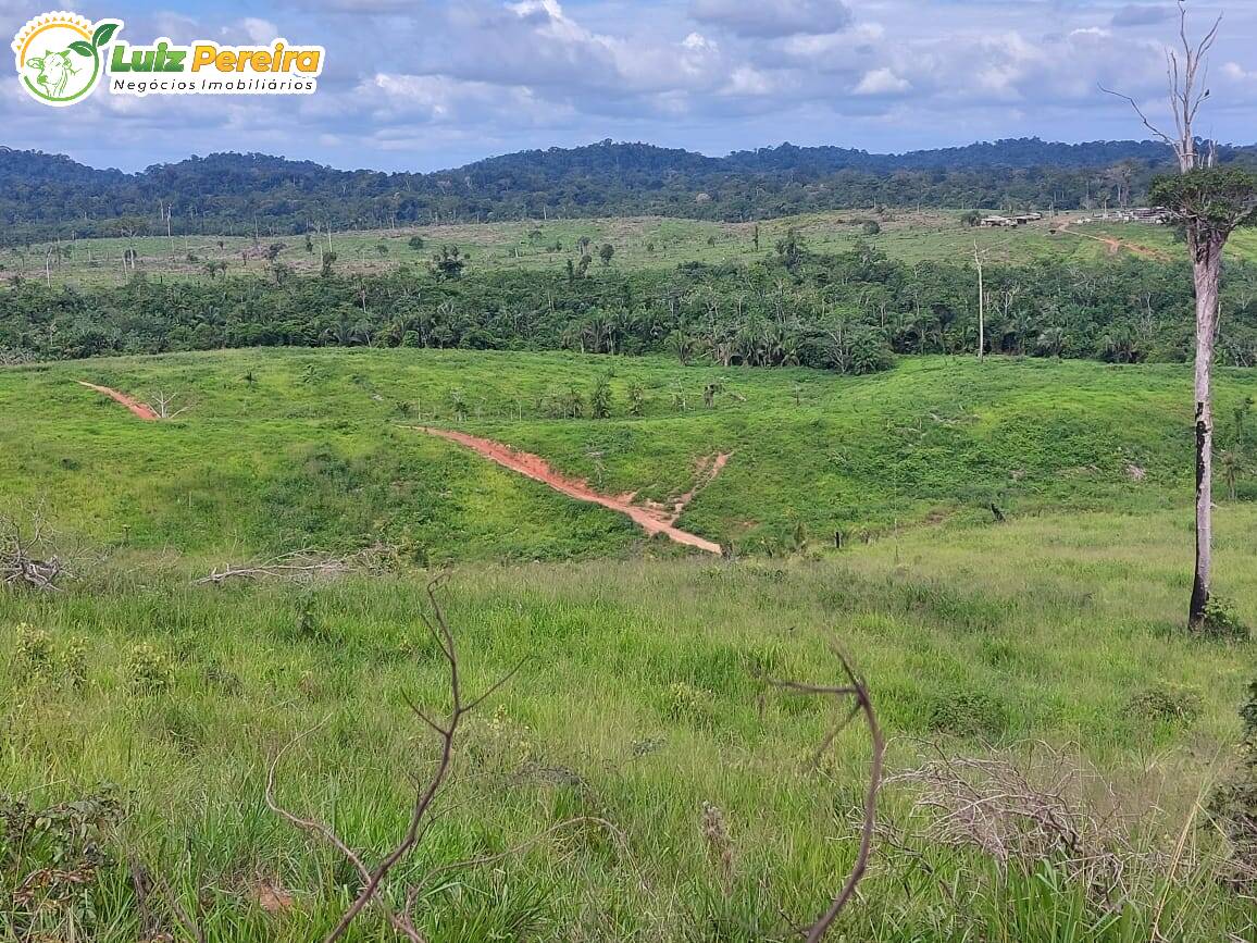 Terreno à venda, 29960000m² - Foto 2