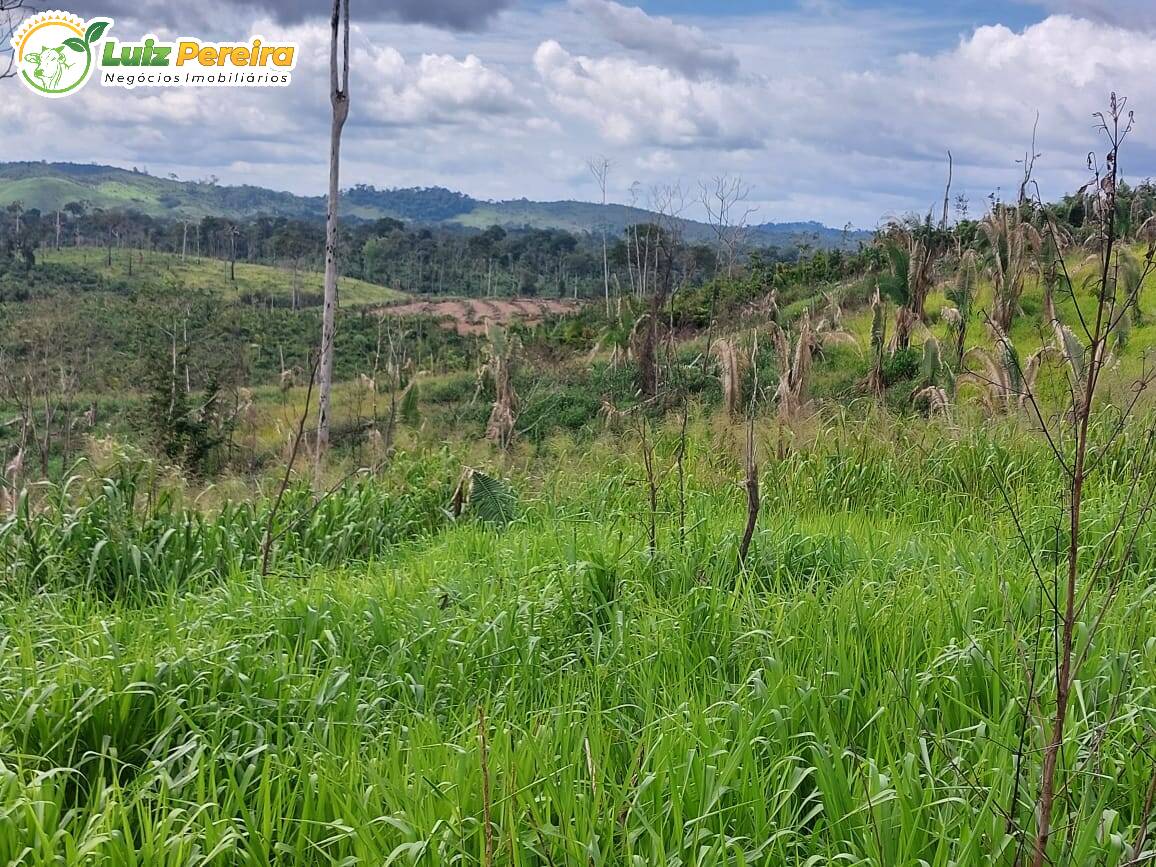 Terreno à venda, 29960000m² - Foto 4