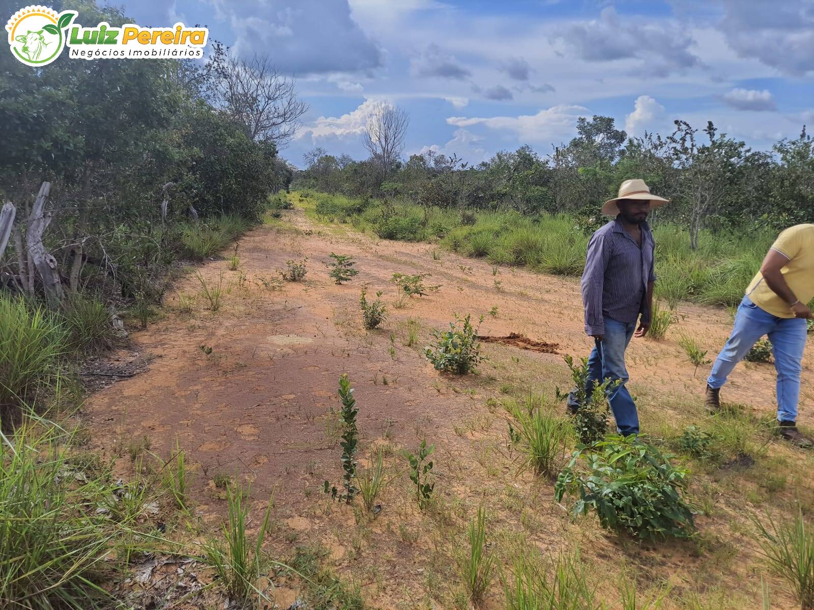 Terreno à venda, 7986000m² - Foto 6