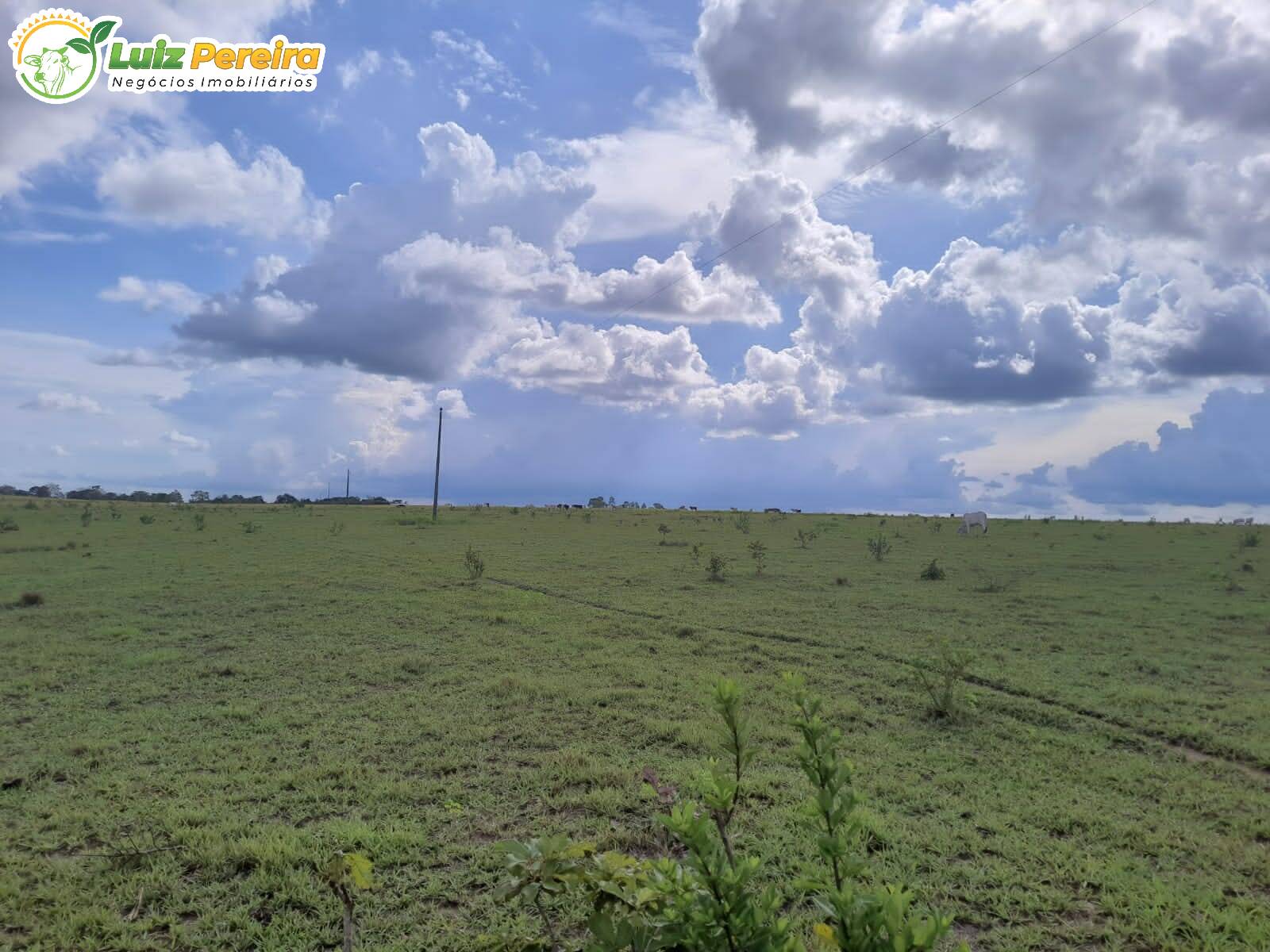 Terreno à venda, 7986000m² - Foto 2