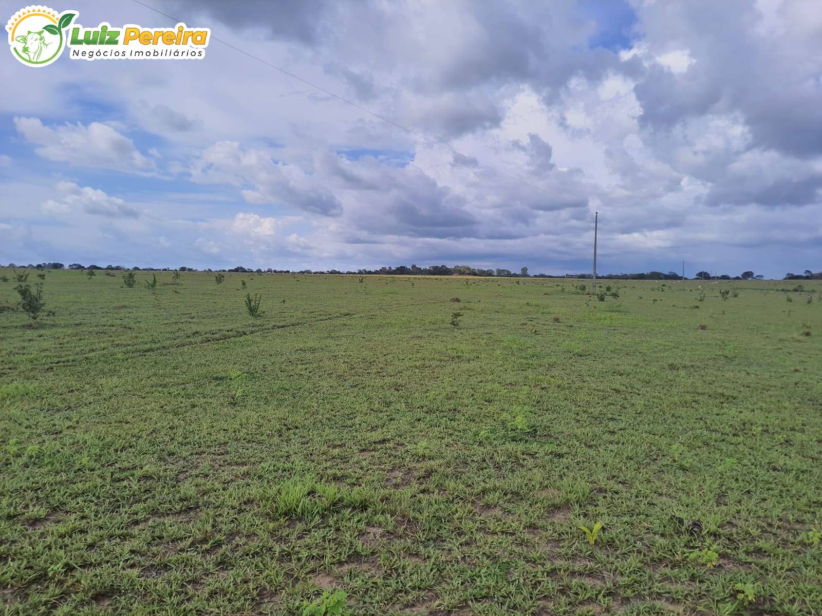 Terreno à venda, 7986000m² - Foto 3