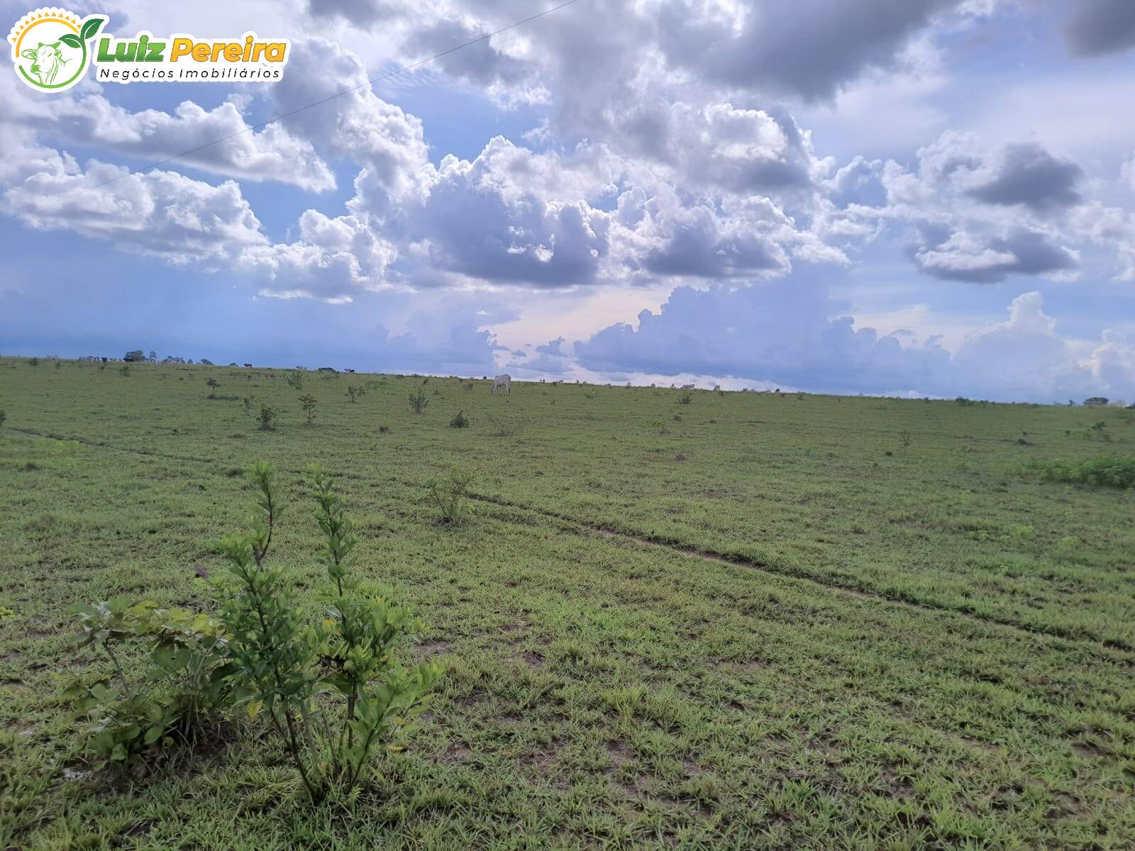 Terreno à venda, 7986000m² - Foto 1