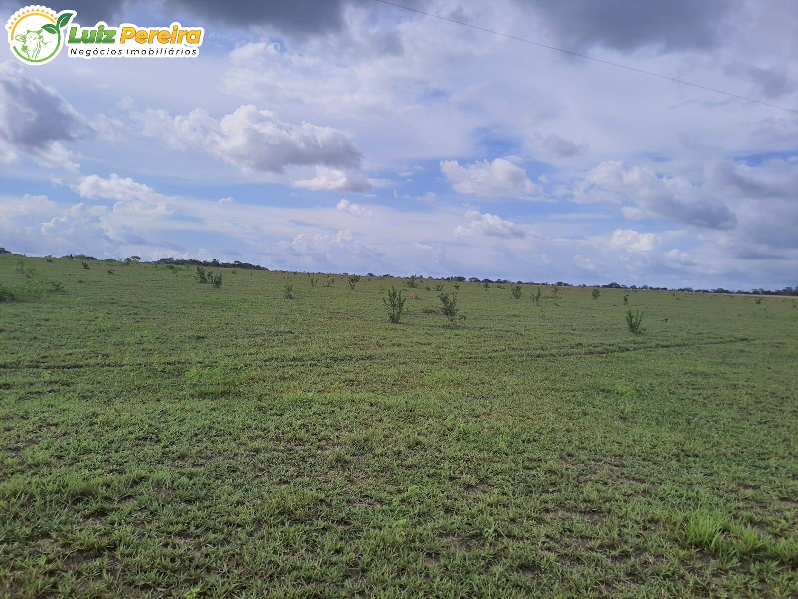 Terreno à venda, 7986000m² - Foto 4