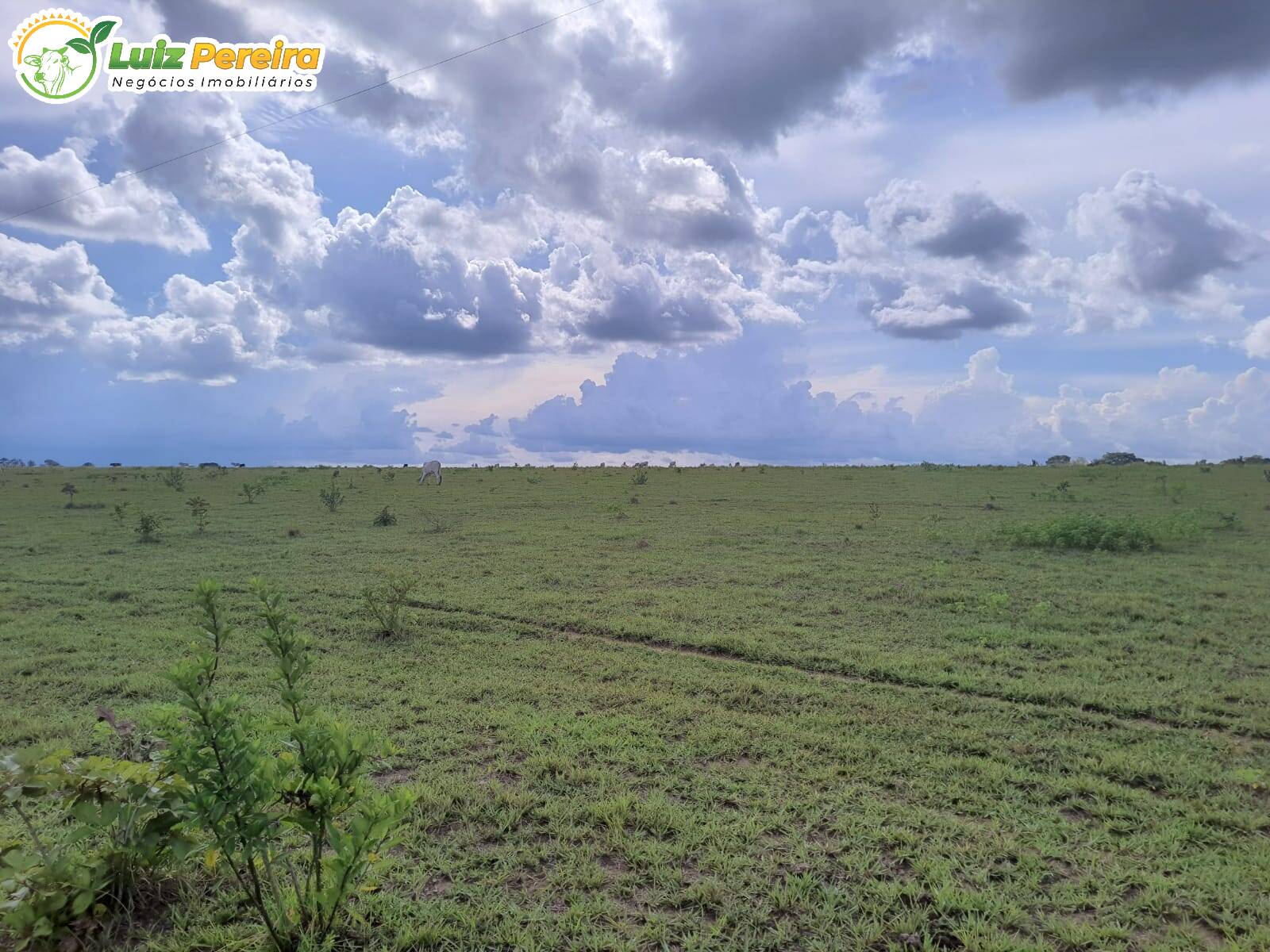 Terreno à venda, 7986000m² - Foto 5