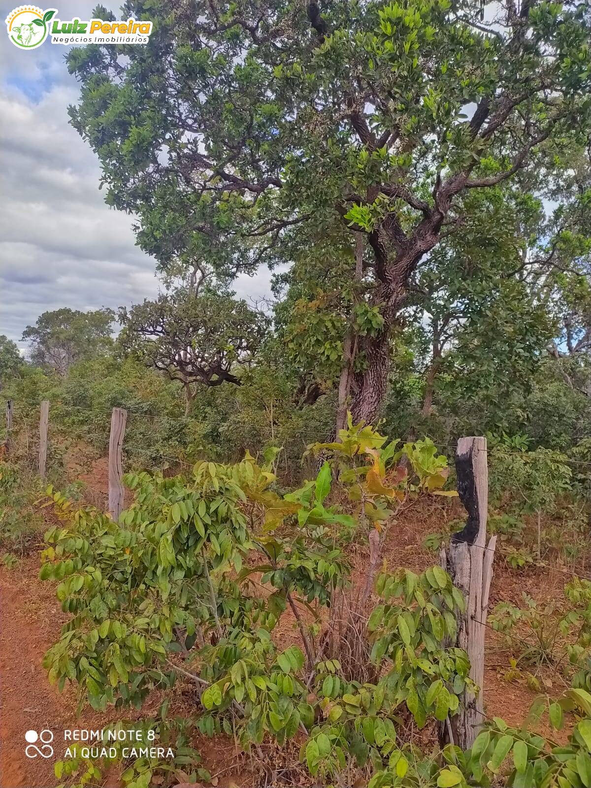 Terreno à venda, 12729200m² - Foto 3