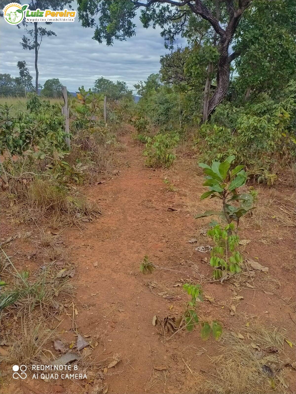 Terreno à venda, 12729200m² - Foto 5