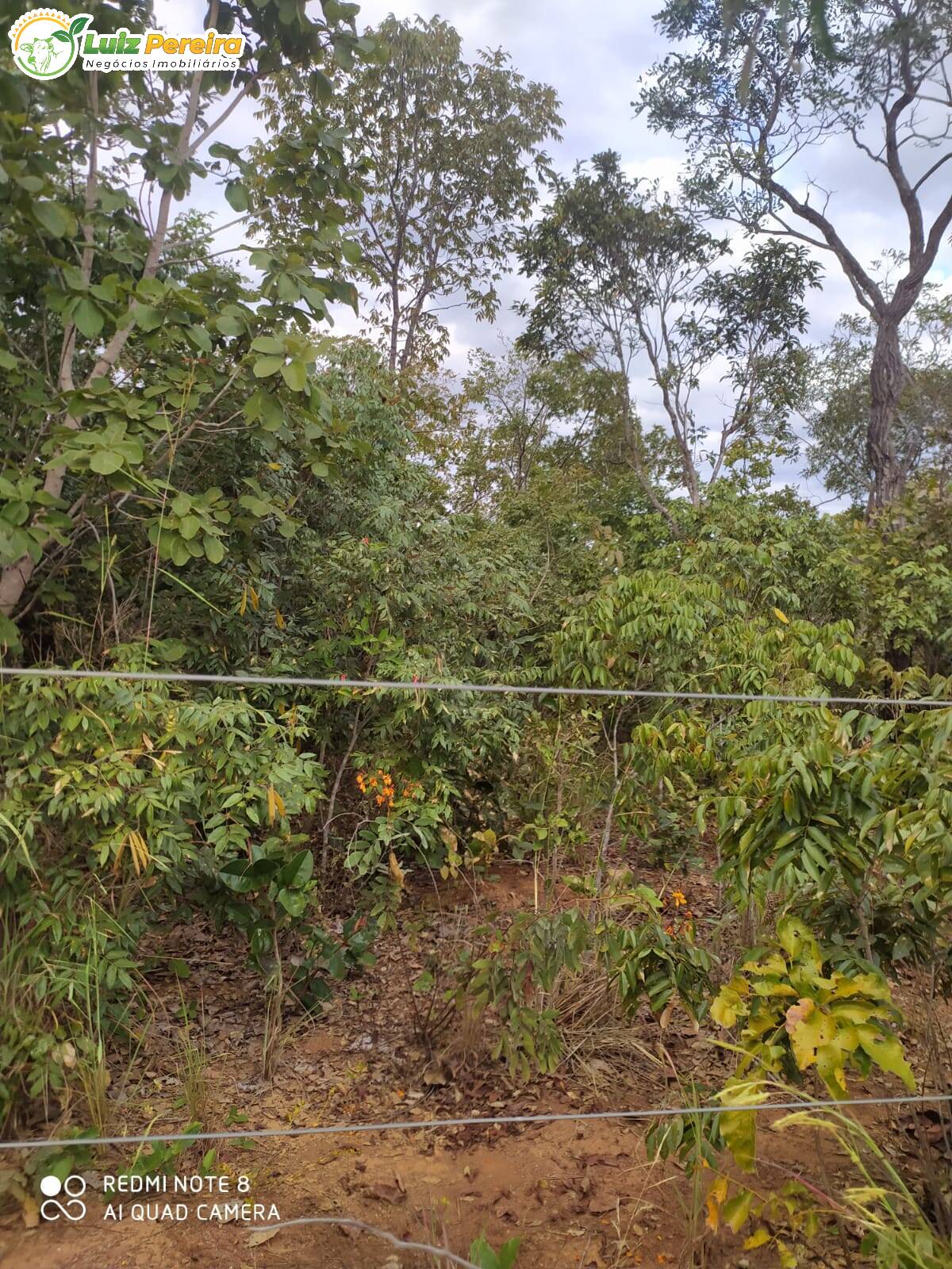 Terreno à venda, 12729200m² - Foto 7