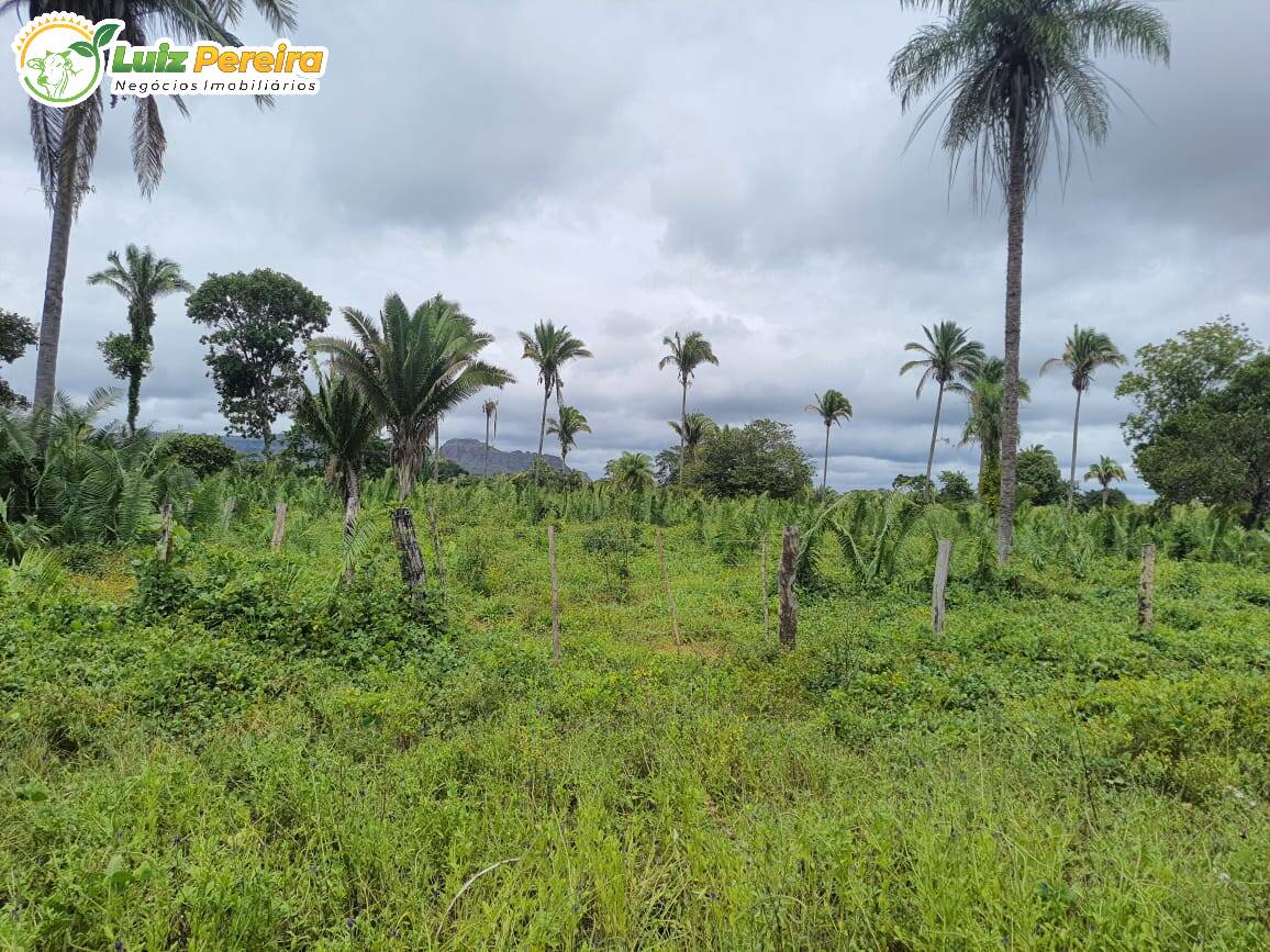 Terreno à venda, 7790000m² - Foto 2