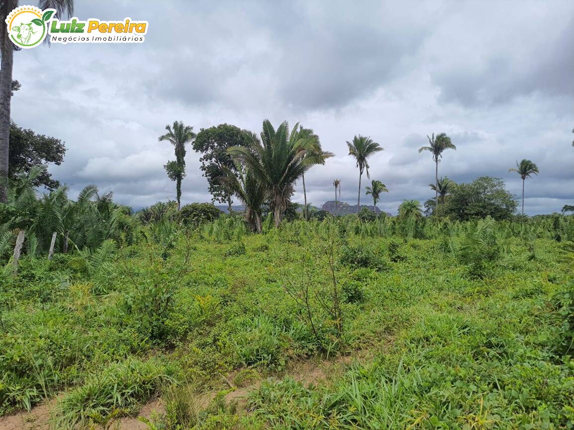 Terreno à venda, 7790000m² - Foto 4