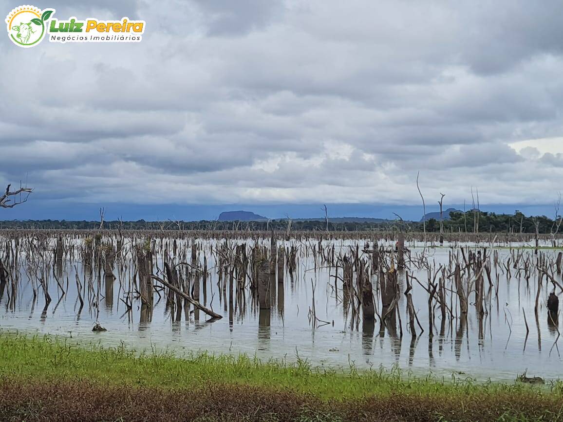 Terreno à venda, 7790000m² - Foto 5