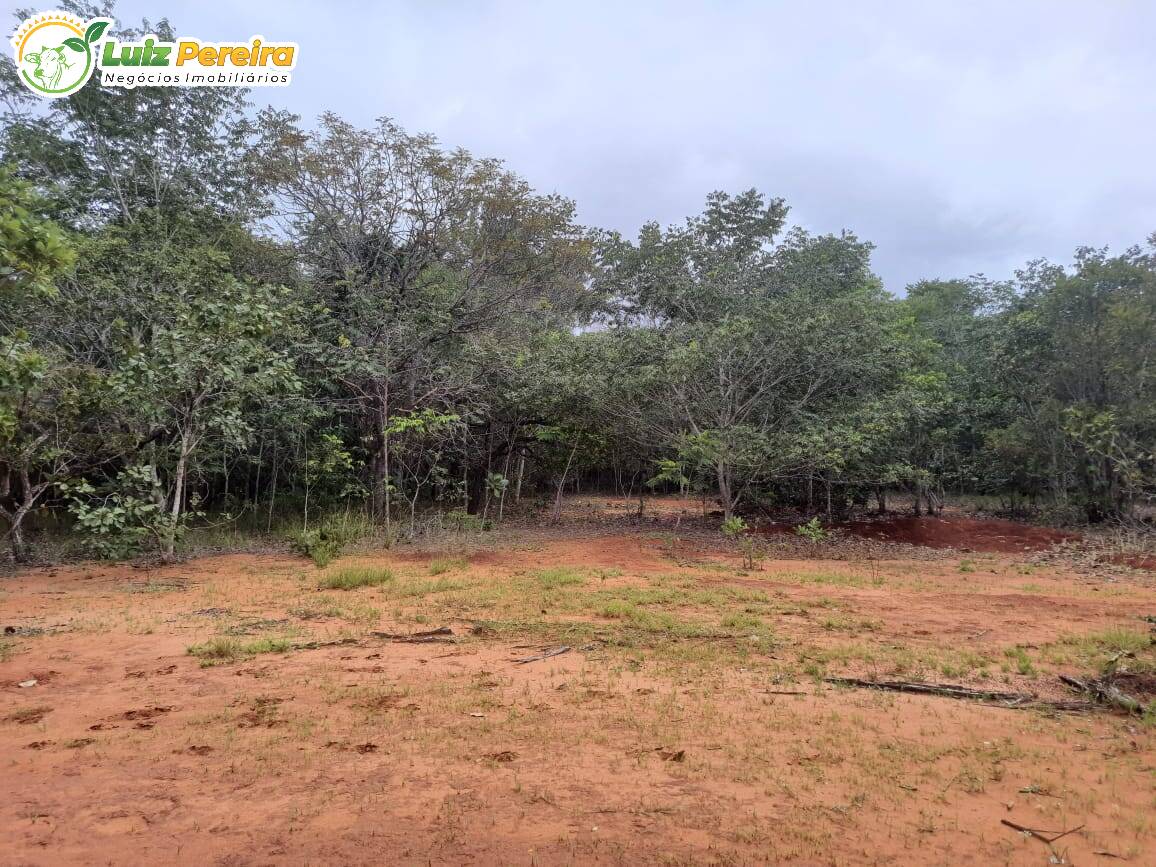 Terreno à venda, 7790000m² - Foto 6
