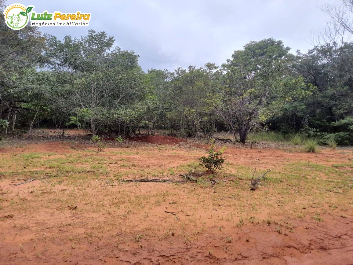 Terreno à venda, 7790000m² - Foto 7