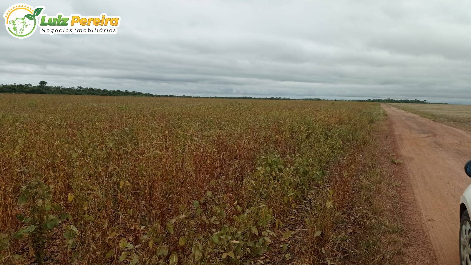 Terreno à venda, 8228000m² - Foto 2