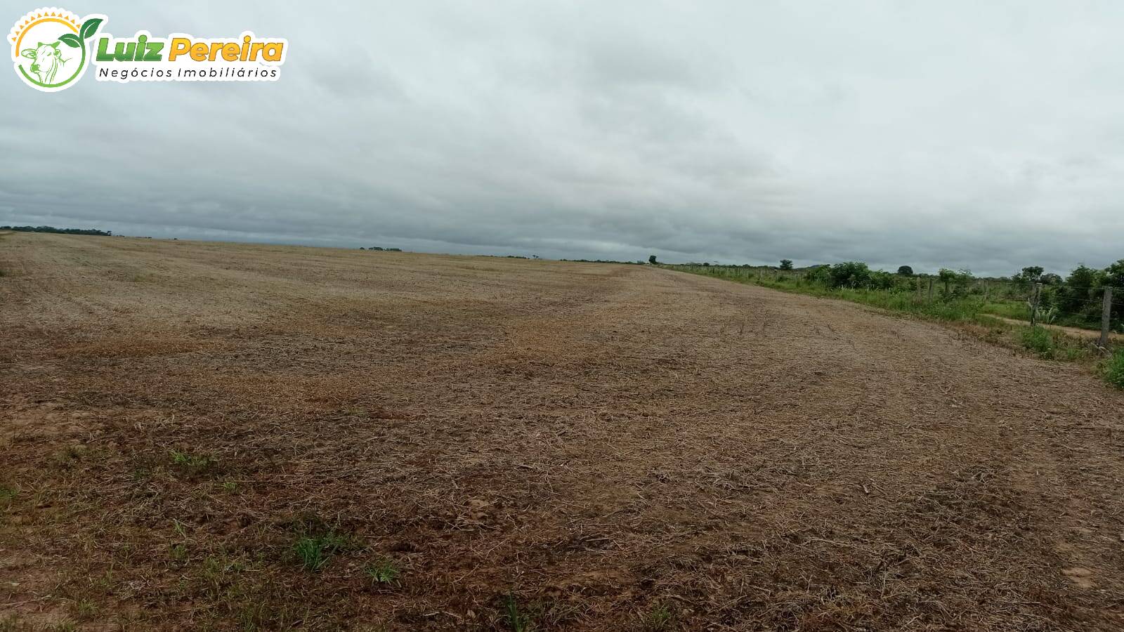 Terreno à venda, 8228000m² - Foto 4