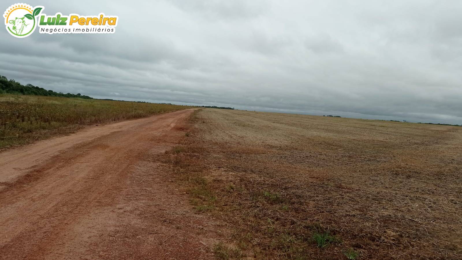 Terreno à venda, 8228000m² - Foto 3