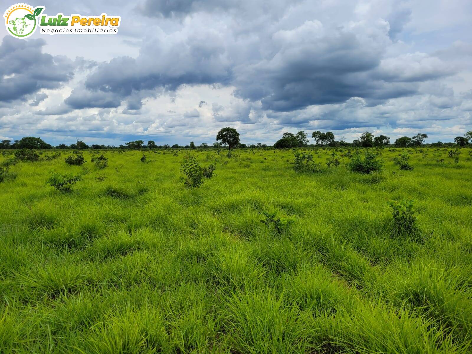Terreno à venda, 61350000m² - Foto 4