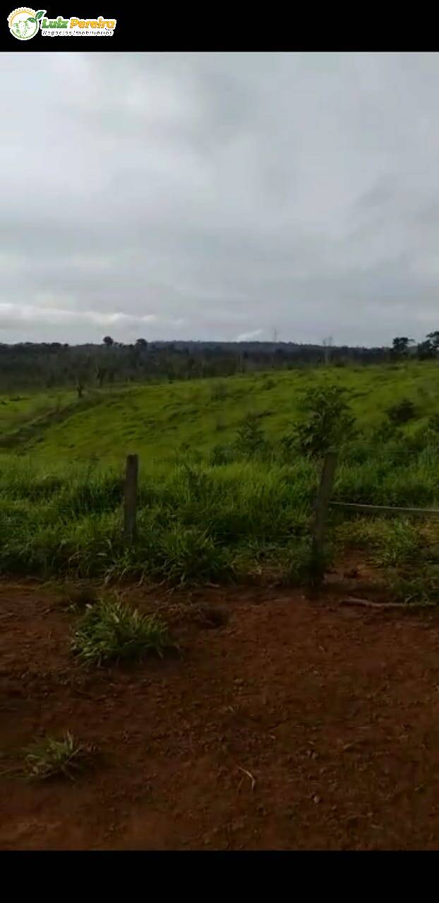 Fazenda-Sítio-Chácara, 1060 hectares - Foto 2