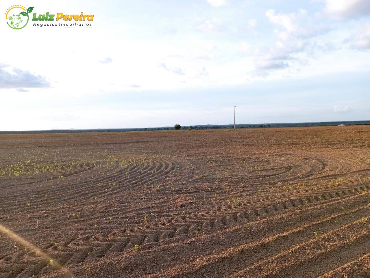 Terreno à venda, 8230000m² - Foto 1