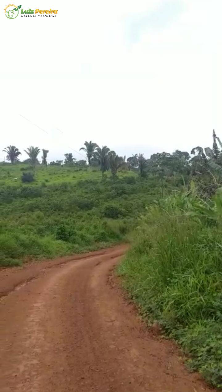 Fazenda-Sítio-Chácara, 1060 hectares - Foto 4